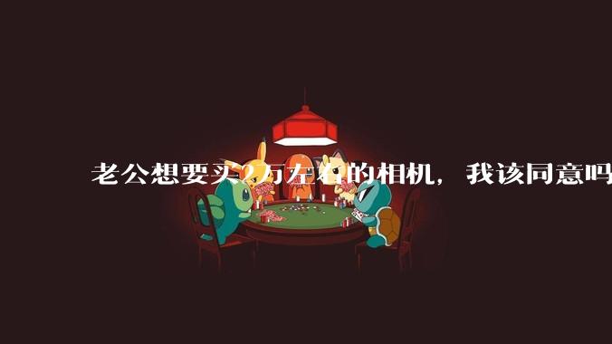 老公想要买2万左右的相机，我该同意吗？